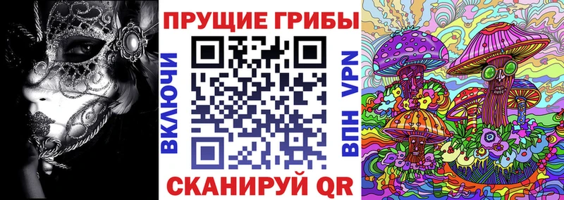 нарко площадка состав  Дальнереченск  Псилоцибиновые грибы мицелий 