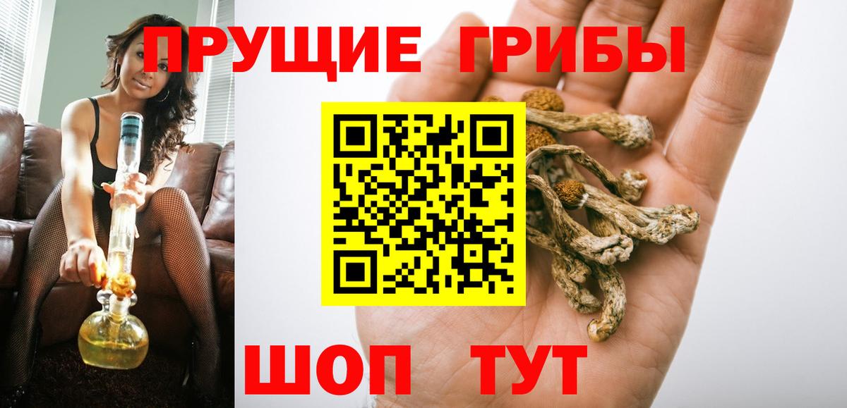 дарнет шоп  Псилоцибиновые грибы мухоморы  Вход с VPN  Дальнереченск  Псилоцибиновые грибы GOLDEN TEACHER 